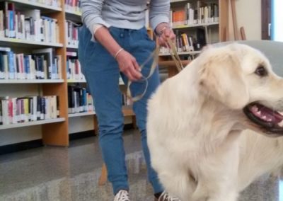 stefania cassia in biblioteca