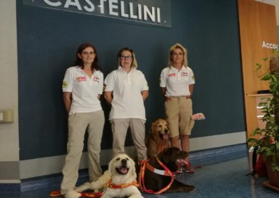 dav addestramento cani lecco