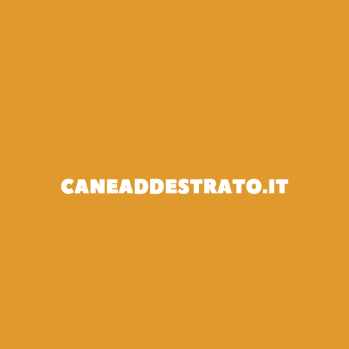 Cane addestrato